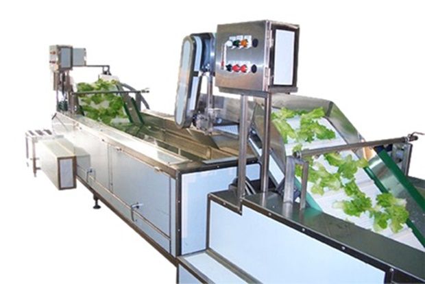 Conveyor Steamer | Efficient Fruit & Vegetable Processing with MU PI ...